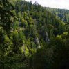 09 b Schluchensteig Etappe 4 - 6